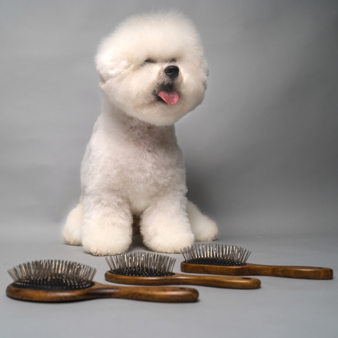 Brush massage oblong